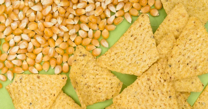 Faut-il faire ses tortillas maison ? Le calcul est sans appel